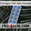 Kamagra Oral Jelly Canada 22
